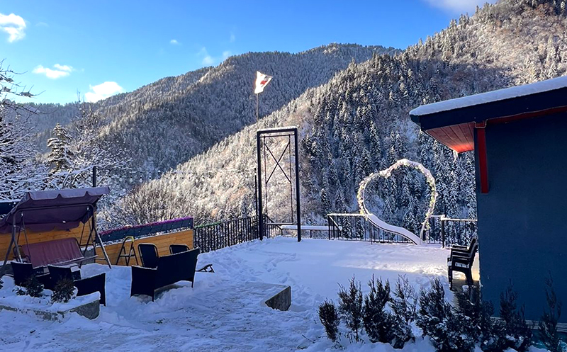 კოტეჯი ბორჯომში 2+2 ან 4+2 სტუმარზე