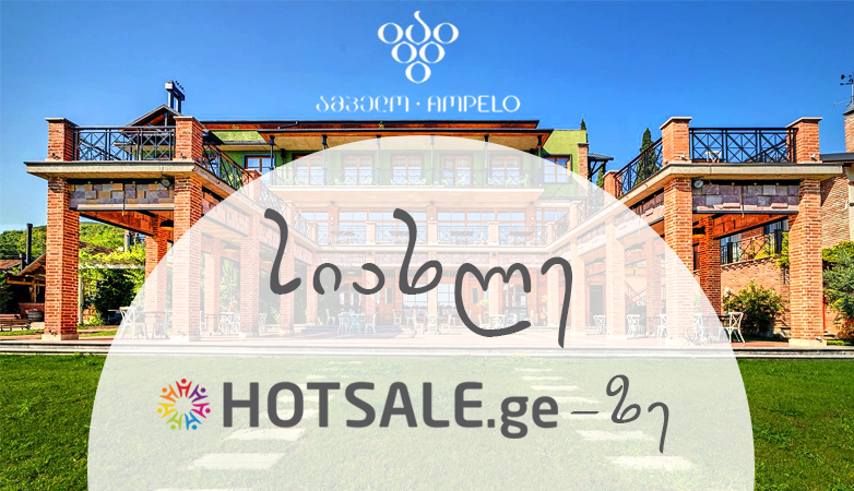 Hotsale.ge და “ამპელო/Ampelo” პარტნიორები გახდნენ