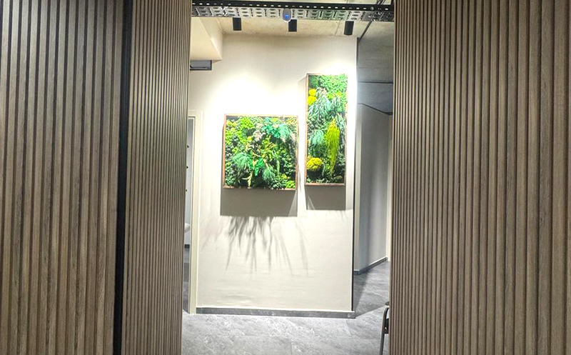 მთლიანი სხეულის ლიმფოდრენაჟის პროცედურა