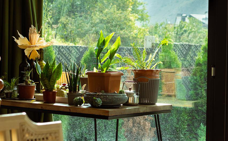 ყაზბეგში, ნომრები ხედით მყინვარზე და აივნით