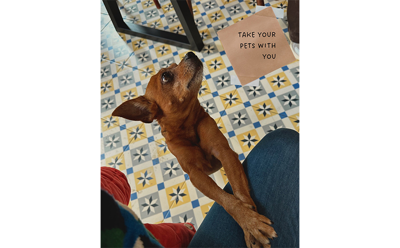 -15% დანაზოგი მინიმუმ 75 ლარიან შენაძენზე