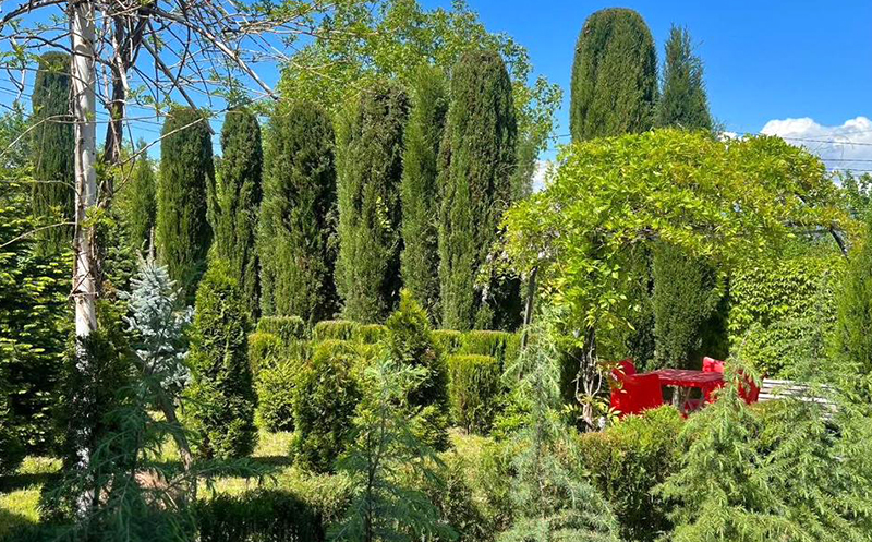 კახეთში, ნომერი 2, 4 ან 6 სტუმარზე