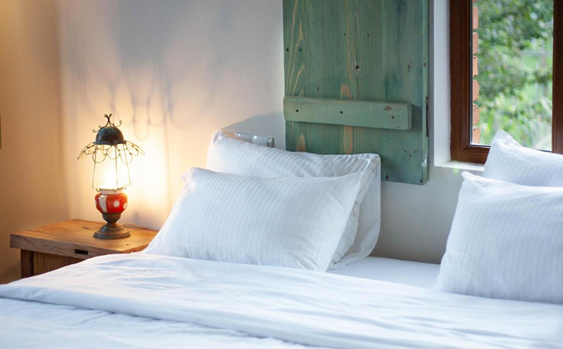 ნომერი საუზმით ორ სტუმარზე ზესტაფონში!