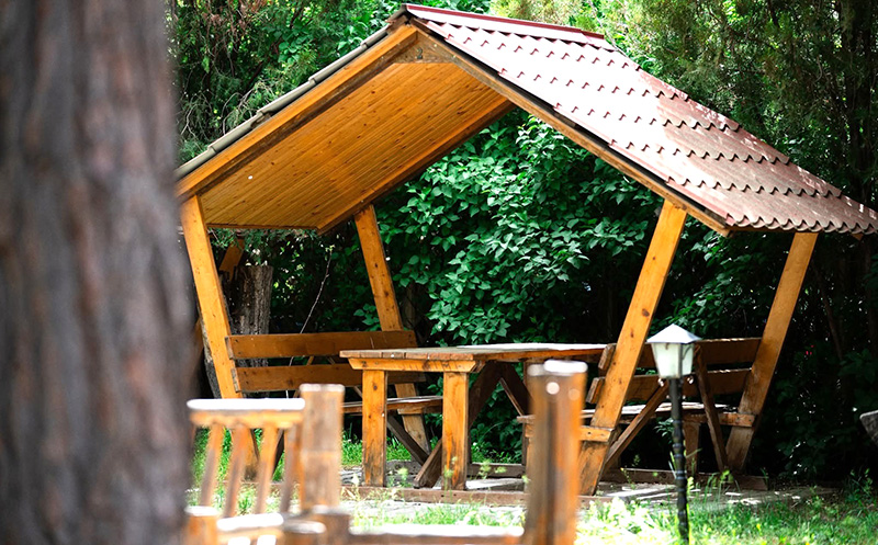 -15% სრულ მენიუზე