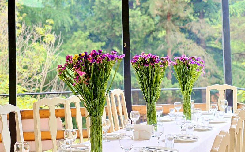 -15% სრულ მენიუზე