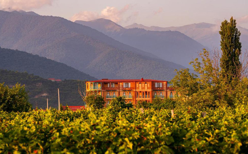 კახეთში ნომერი 2 სტუმარზე საუზმით, ღვინის ტურით და დეგუსტაციით