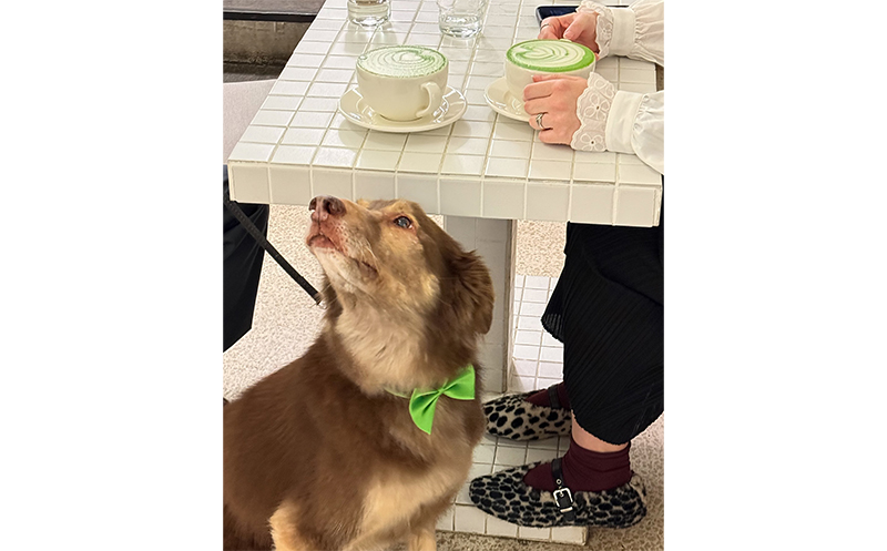 -20% სასმელების სრულ ასორტიმენტზე!