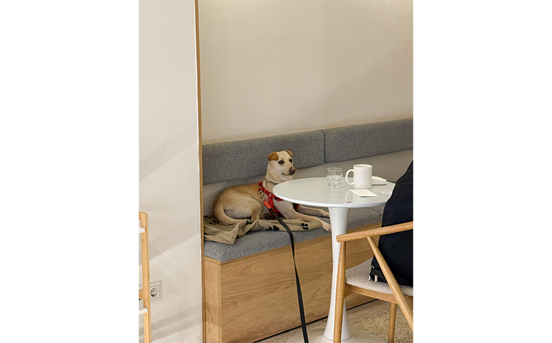 -20% სასმელების სრულ ასორტიმენტზე!