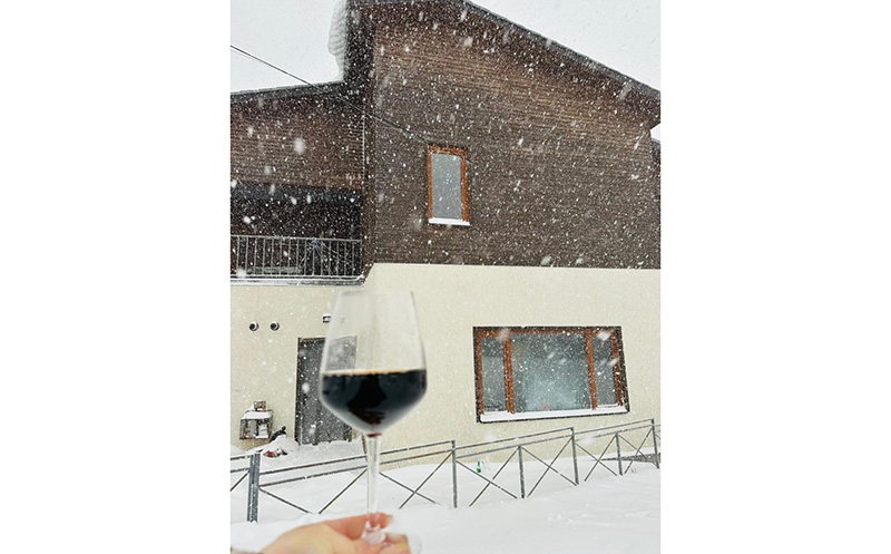 ორ სართულიანი კოტეჯი ბაკურიანში 5+1 სტუმარზე