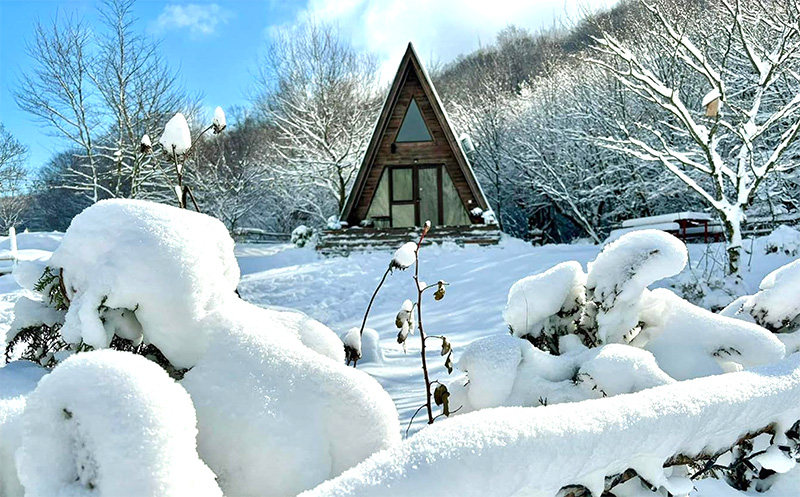 ცხვარიჭამიაში კოტეჯი ბალუ 4 ან 6 სტუმარზე
