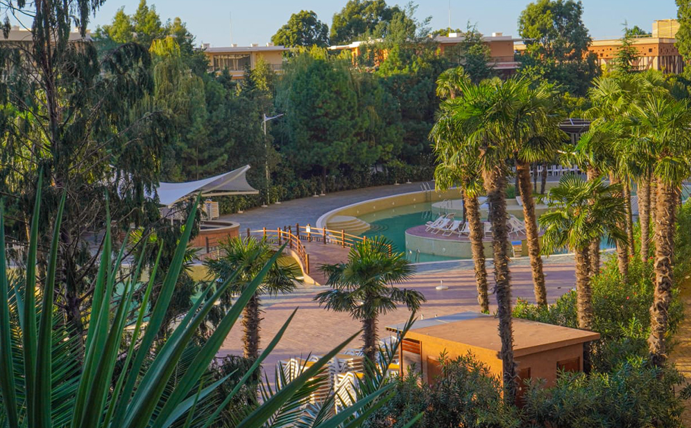 სტუდიოს ტიპის აპარტამენტი 2+2 სტუმარზე