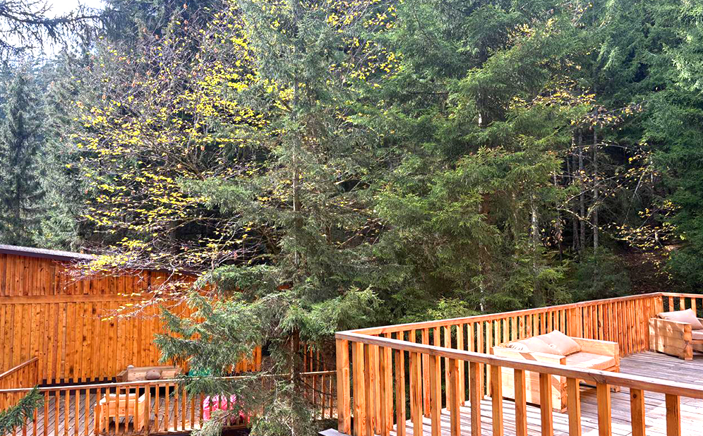 ივნისში, აბასთუმანში კოტეჯები 2 სტუმარზე სამჯერადი კვებით