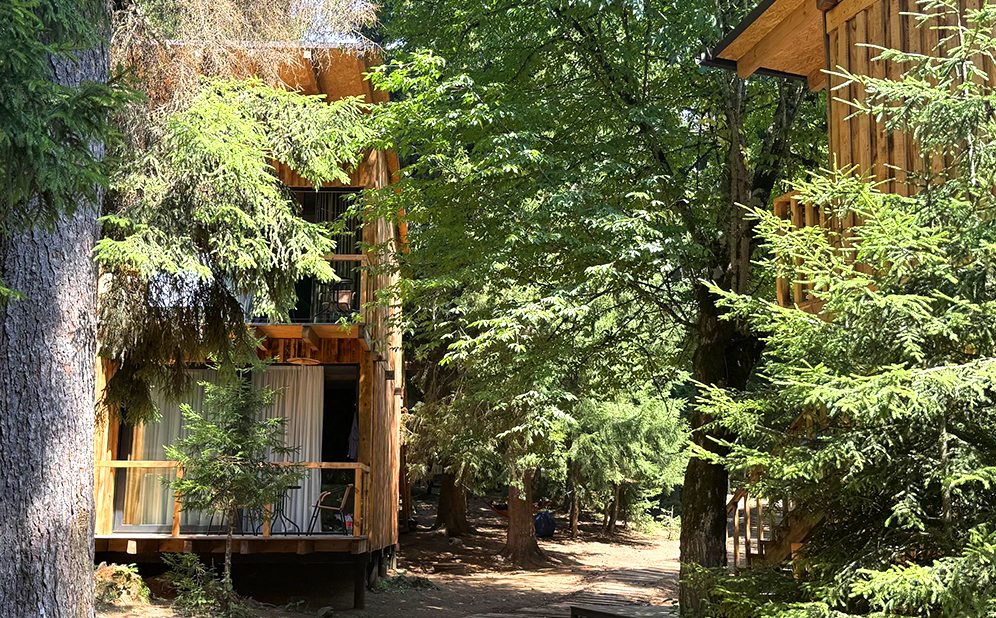 ივნისში, აბასთუმანში კოტეჯები 2 სტუმარზე სამჯერადი კვებით