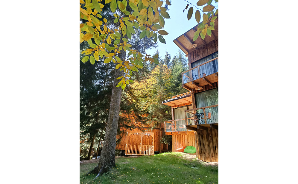 ივნისში, აბასთუმანში კოტეჯები 2 სტუმარზე სამჯერადი კვებით