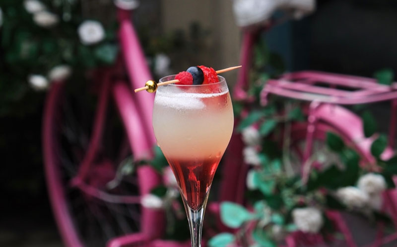 -15% დანაზოგი სრულ ასორტიმენტზე