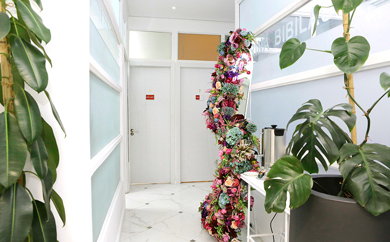 სპა კაფსულის აპარატურული პროცედურა