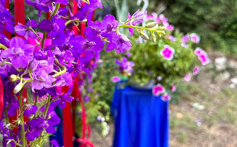 ღია სივრცე მცხეთაში საქორწილო ფოტოსესიებისთვის