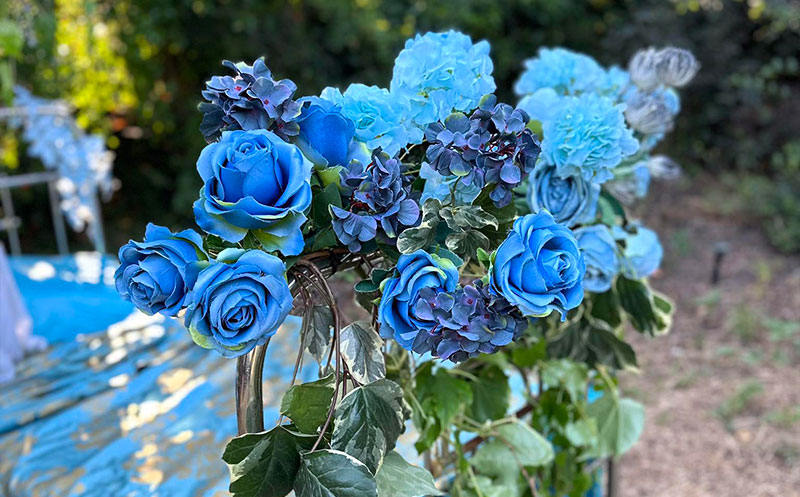 ღია სივრცე მცხეთაში საქორწილო ფოტოსესიებისთვის