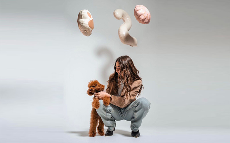 დაბადების დღის, საორსულე ან საოჯახო ფოტოსესია