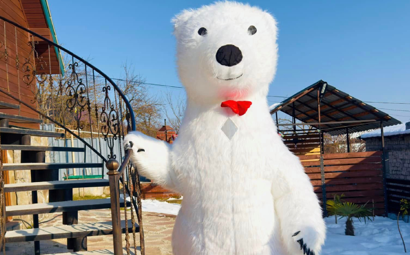 10, 15, 20 ან 25 ბავშვზე დაბადების დღის წვეულება