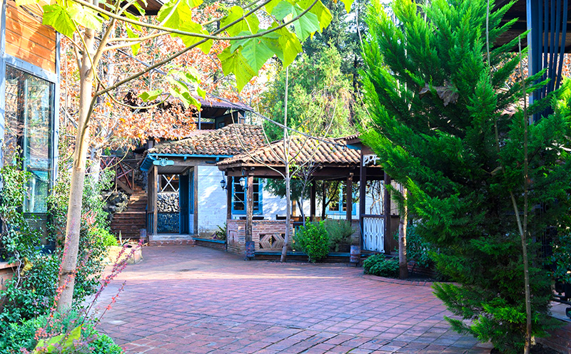 -10% დანაზოგი სრულ მენიუზე