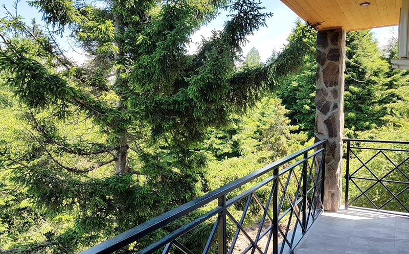 ბაკურიანთან ახლოს, კურორტ ტბაზე, ნომერი 2-3 სტუმარზე საუზმით