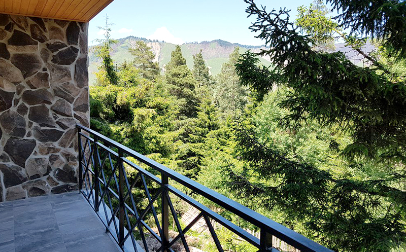 ბაკურიანთან ახლოს, კურორტ ტბაზე, ნომერი 2-3 სტუმარზე საუზმით