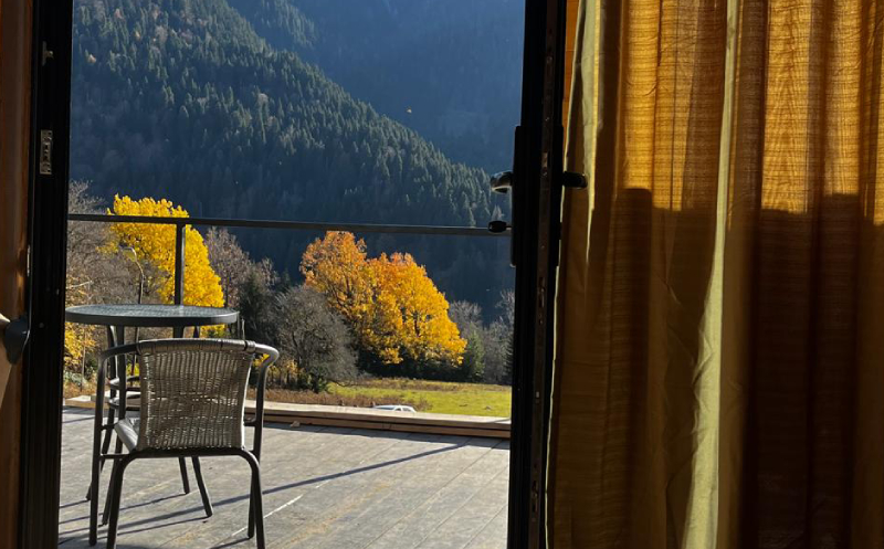 კოტეჯი რაჭაში 2-7 სტუმარზე