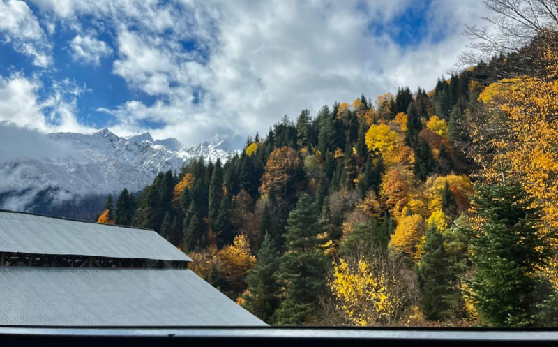 კოტეჯი რაჭაში 2-7 სტუმარზე