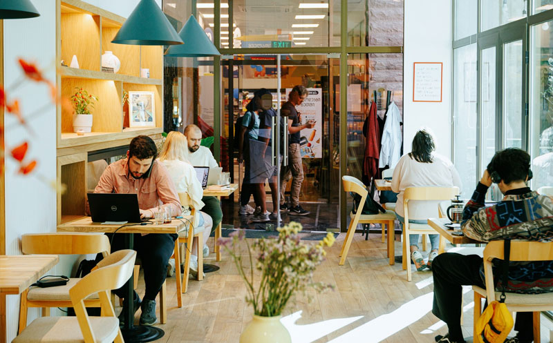 -15% დანაზოგი სრულ ასორტიმენტზე