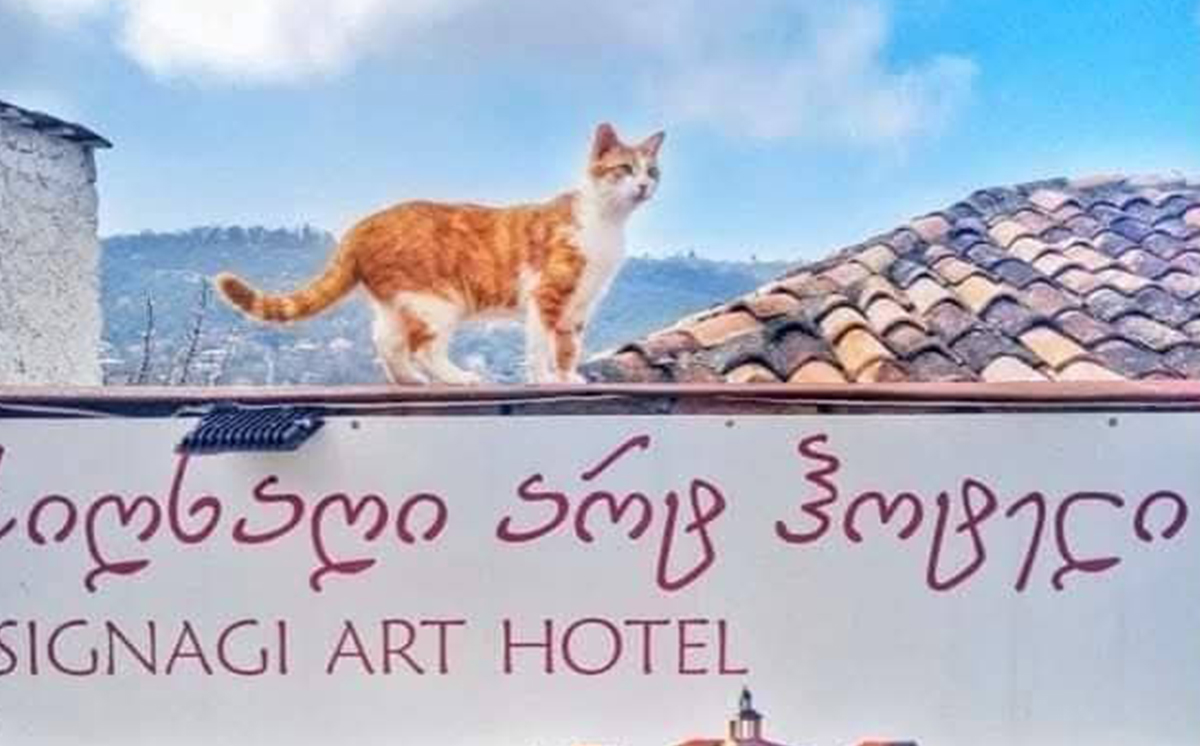 სიღნაღში ნომერი 2, 2+1 ან 5 სტუმარზე