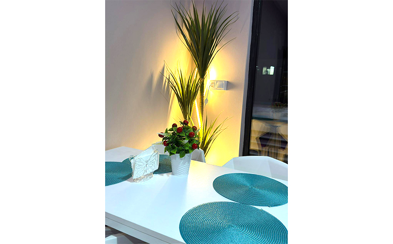 დაბადების დღის წვეულება 20+1 ბავშვ