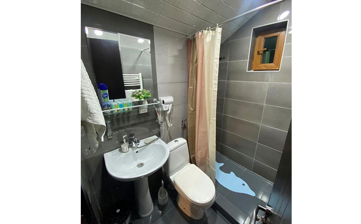 კოტეჯი 6 სტუმარზე ბაკურიანში