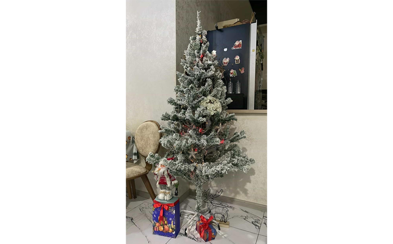 დათოვლილი ნაძვის ხე (150 სმ), საჩუქრად: განათება