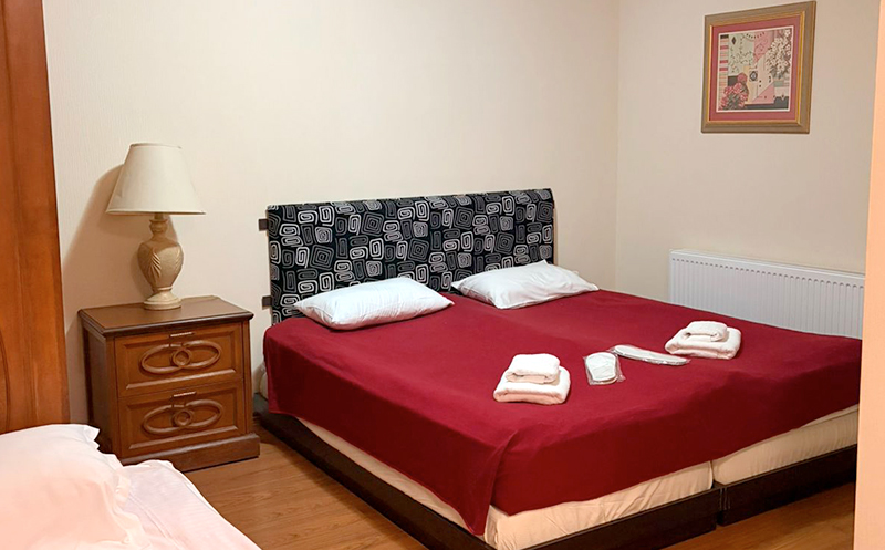 ნომრები 2, 3 ან 4 სტუმარზე საუზმით, აივნით და ხედით გუდაურში8