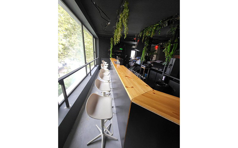 თინეიჯერებისთვის 15 სტუმარზე, კერძები, კარაოკე და DJ