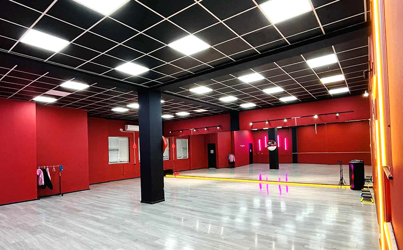 ზუმბა და ზუმბა სტეპის 1 თვიანი აბონემენტი