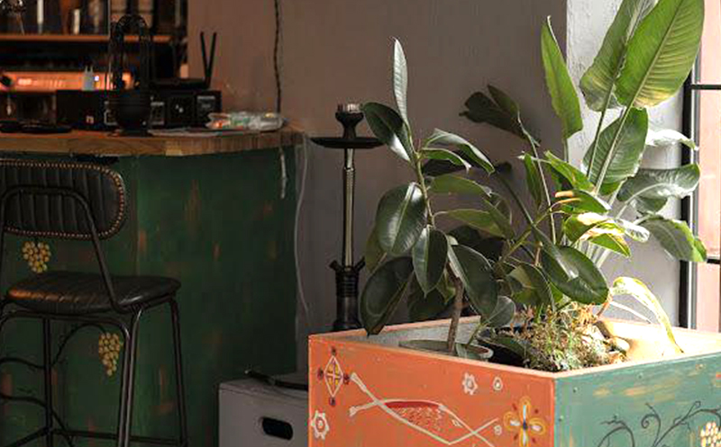 კერძების 10 სტუმარზე არყით ან არყის გარეშე